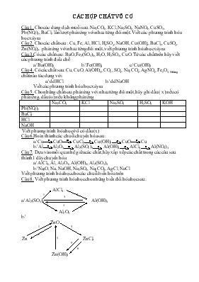 Giáo án Các hợp chất vô cơ